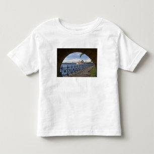 Australia, New South Wales, Sydney, Stone Toddler T-Shirt