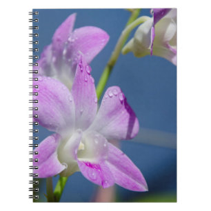 Australia, Northern Territory, Darwin Spiral Notebook