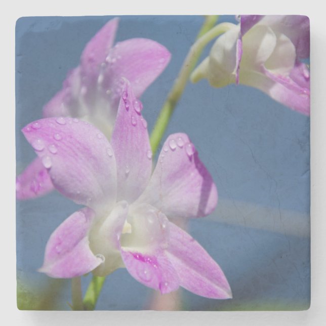 Australia, Northern Territory, Darwin Stone Coaster (Front)