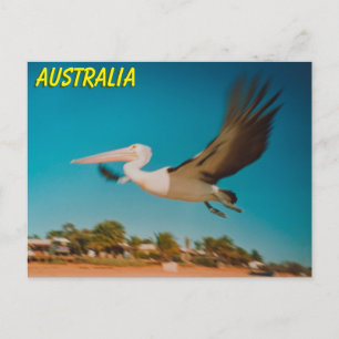 Australia Postcard