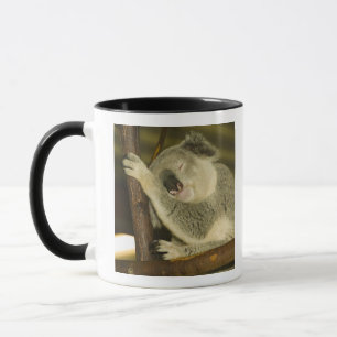 Australia, Queensland, Brisbane. Fig Tree Mug