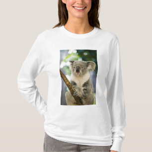 Australia, Queensland, Brisbane, Fig Tree T-Shirt