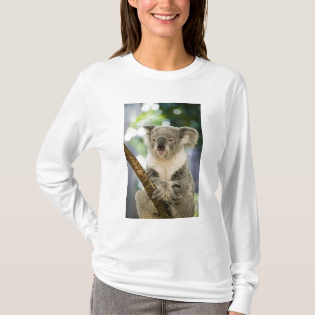 Australia, Queensland, Brisbane, Fig Tree T-Shirt (Front)