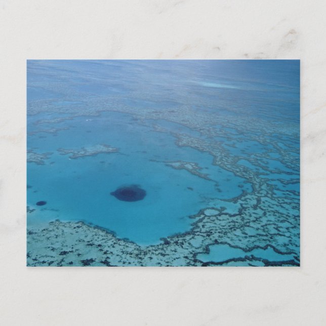 Australia, Queensland. Great Barrier Reef Postcard (Front)