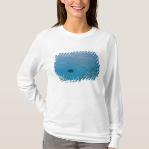 Australia, Queensland. Great Barrier Reef T-Shirt