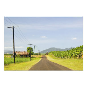 Australia, Queensland, North Coast, Babinda. Photo Print