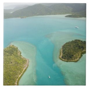 Australia, Queensland, Whitsunday Coast, Tile