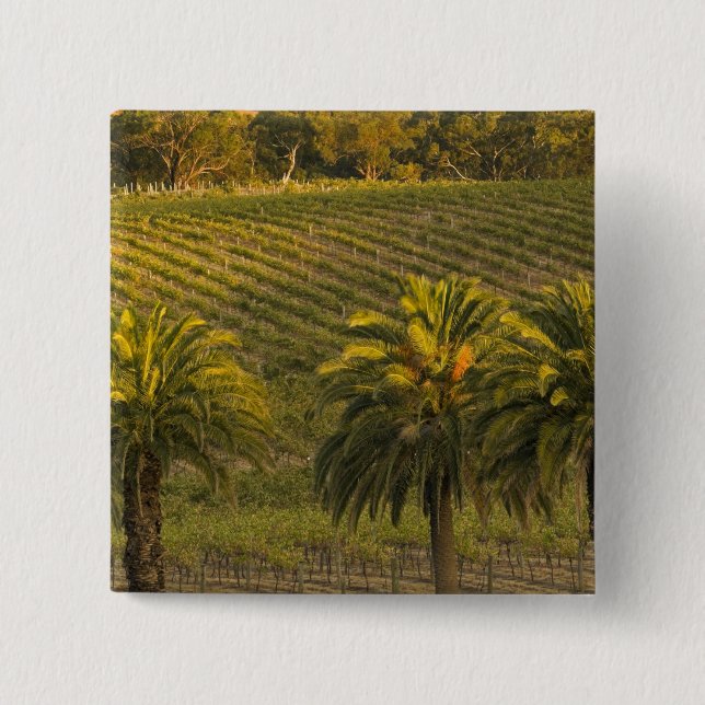 Australia, South Australia, Barossa Valley, 15 Cm Square Badge (Front)