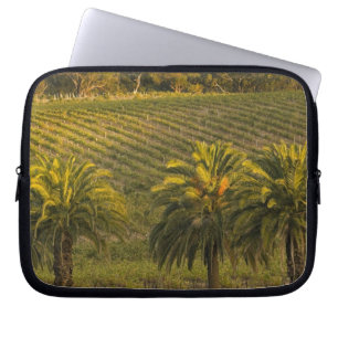 Australia, South Australia, Barossa Valley, Laptop Sleeve