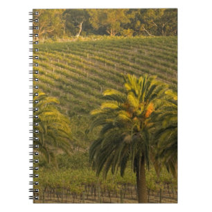 Australia, South Australia, Barossa Valley, Spiral Notebook