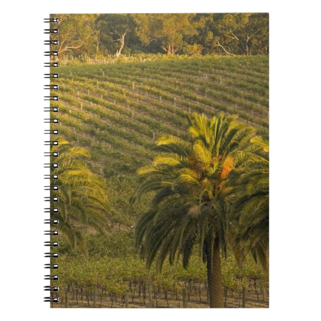 Australia, South Australia, Barossa Valley, Spiral Notebook (Front)
