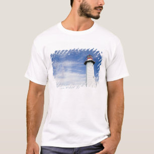 Australia, State of Queensland, Cleveland. The T-Shirt