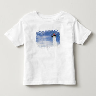 Australia, State of Queensland, Cleveland. The Toddler T-Shirt