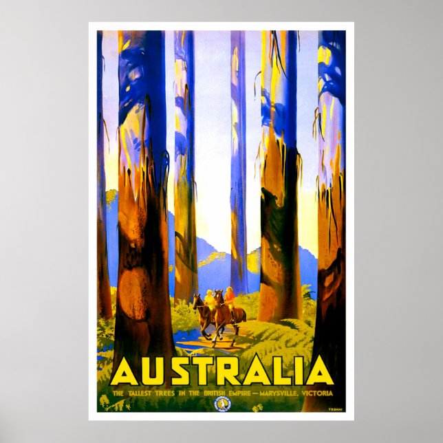 Australia, tall trees of Marysville, Victoria Poster (Front)