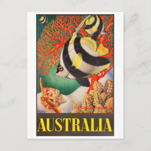 Australia, Tropic Fish at the Great Barrier Reef Postcard