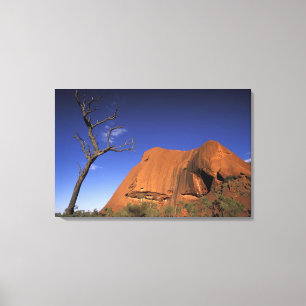 Australia, Uluru Kata Tjuta National Park, Uluru Canvas Print