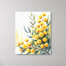 Australia — Watercolor Golden Wattle