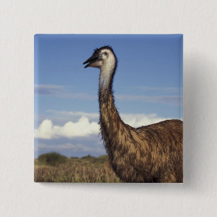 Australia, Western Australia. Emu (Dromaius 15 Cm Square Badge
