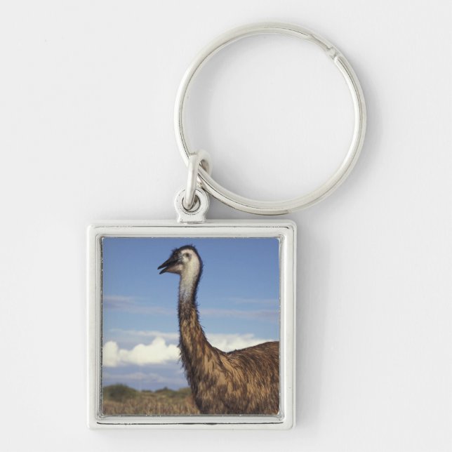 Australia, Western Australia. Emu (Dromaius Key Ring (Front)