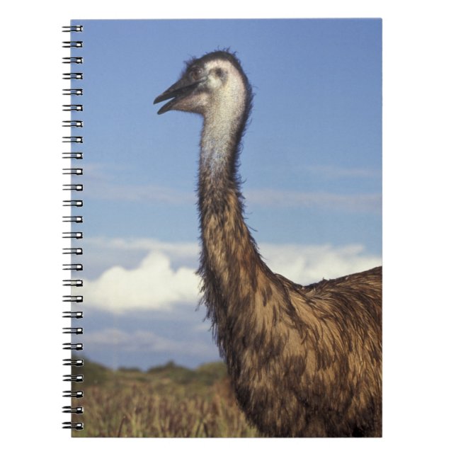 Australia, Western Australia. Emu (Dromaius Notebook (Front)