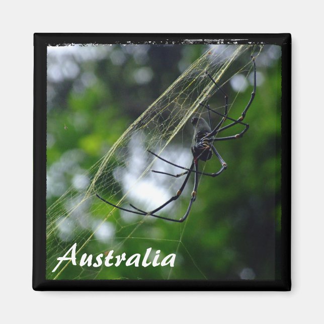 Australia, Wilderness, Spider (Magnet) Magnet (Front)
