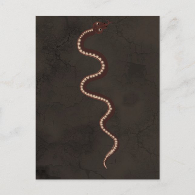 Australian Aboriginal Desert Snake Art Postcard (Front)