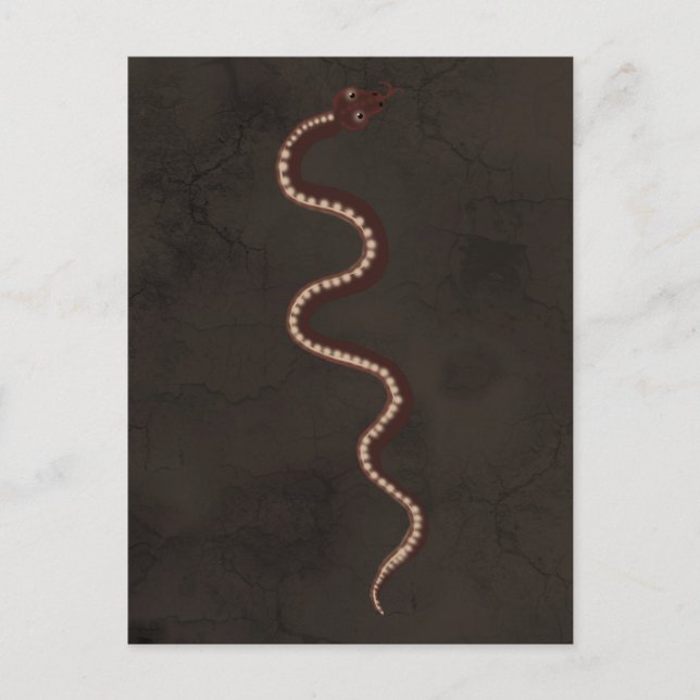 Australian Aboriginal Desert Snake Art Postcard (Front)