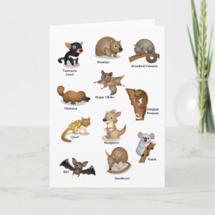 Australian Animal Greeting Card