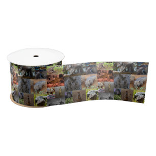 Australian Animals Photo Collage, Satin Ribbon