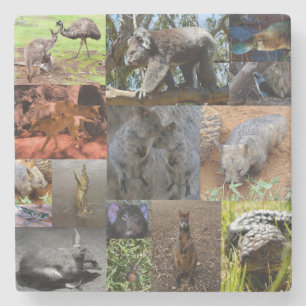 Australian Animals Photo Collage, Stone Coaster