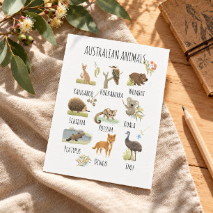Australian Animals Postcard