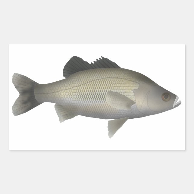 Australian Bass Rectangular Sticker (Front)