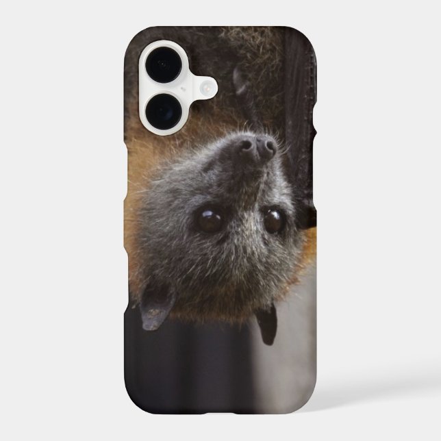 Australian Bat (Back)