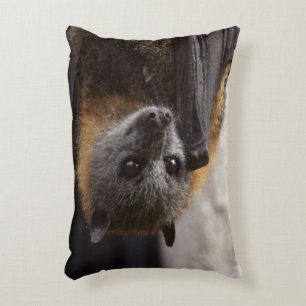 Australian Bat Decorative Cushion