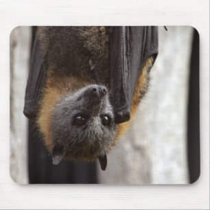 Australian Bat Mouse Pad
