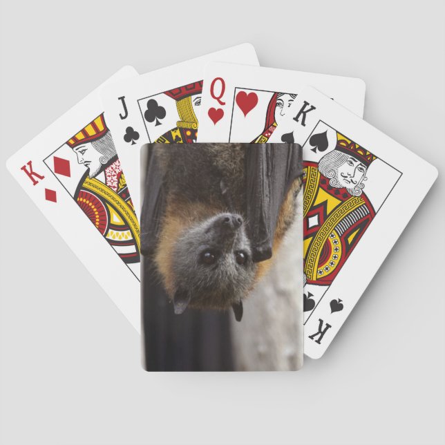 Australian Bat Playing Cards (Back)