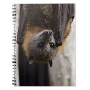 Australian Bat Spiral Notebook