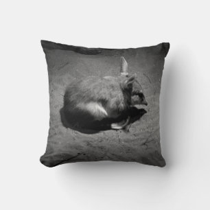 Australian Bilby, Know As The Aussie Easter Bunny, Cushion