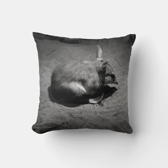 Australian Bilby, Know As The Aussie Easter Bunny, Cushion (Front)