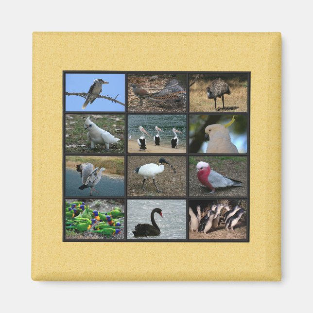 Australian Bird Photo Collage Magnet (Front)