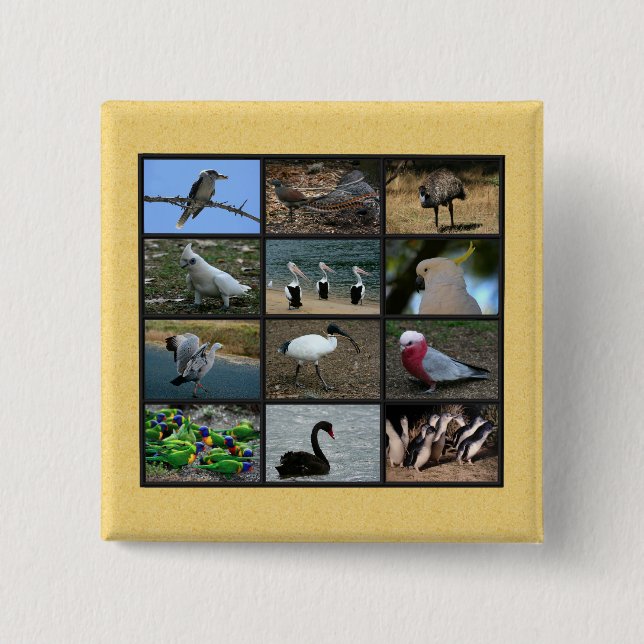 Australian Birds 15 Cm Square Badge (Front)