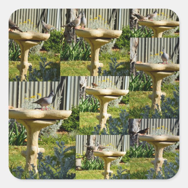 Australian Birds On A Bird Bath, Stickers (Front)