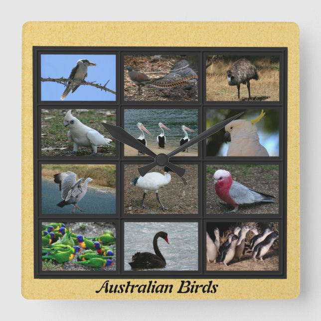 Australian Birds Square Wall Clock (Front)