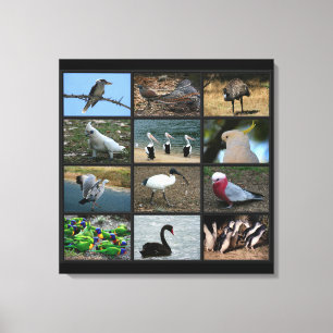 Australian Birdwatchers Collage Canvas Print