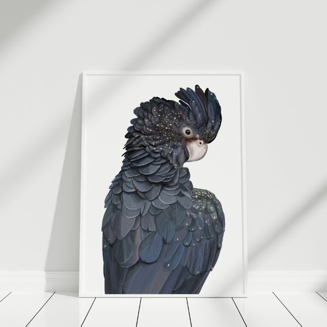 Australian Black Cockatoo Illustration Poster (Australian Black Cockatoo Illustration Poster in white frame.)