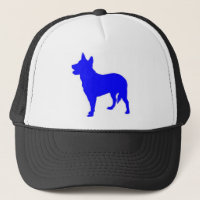 Australian Blue Heeler
