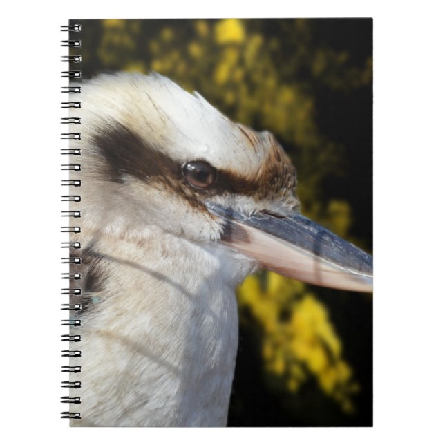 Australian Blue Winged Kookaburra, Notebook (Front)