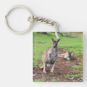 Australian Buck Kangaroo, Key Ring
