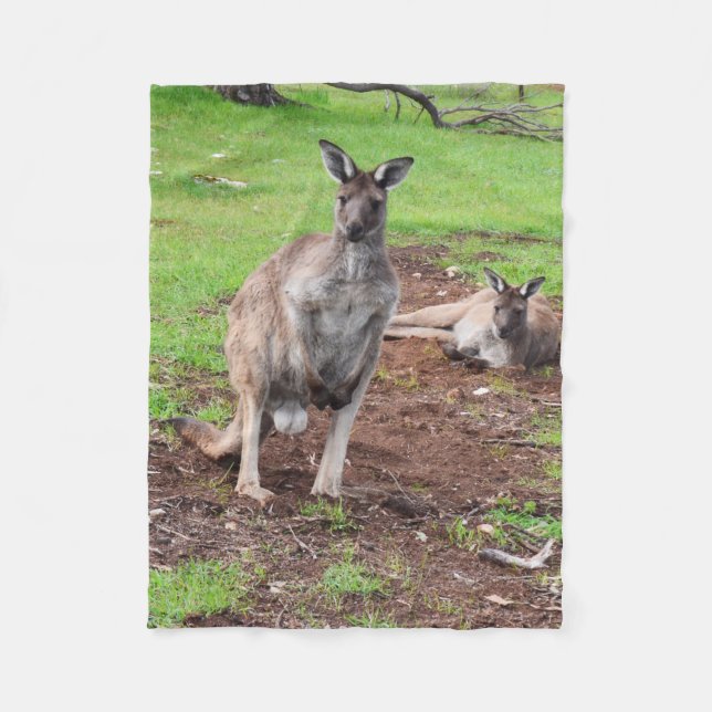 Australian Buck Kangaroo, Small Fleece Blanket. (Front)