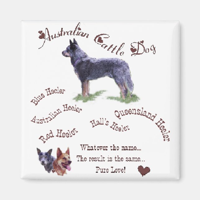 Australian Cattle Dog Art Gifts Magnet (Front)